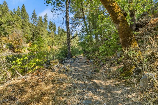 3021 Riverton Rd, Pollock Pines, CA 95726