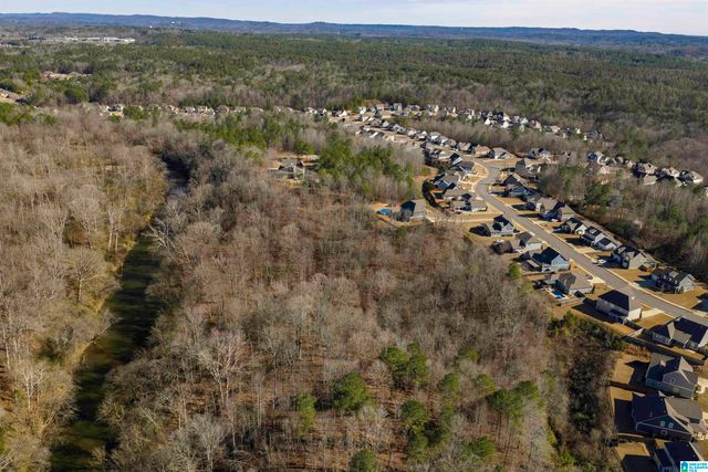 4460 OLD CAHABA PARKWAY, Helena, AL 35080