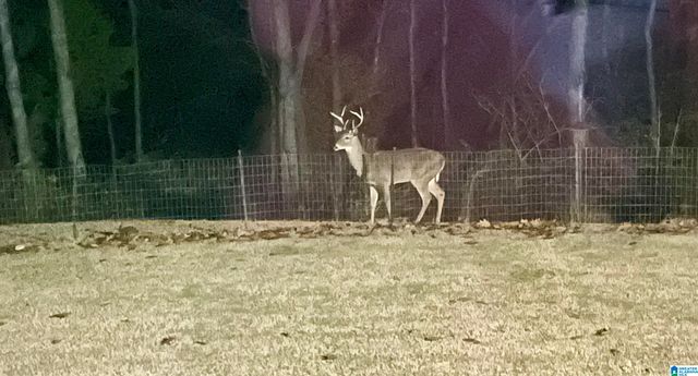 4460 OLD CAHABA PARKWAY, Helena, AL 35080