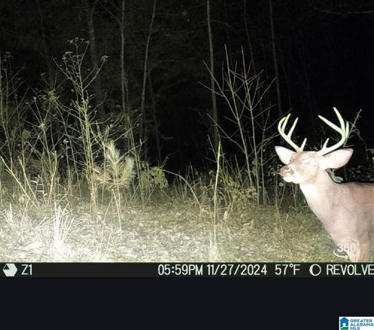 4460 OLD CAHABA PARKWAY, Helena, AL 35080