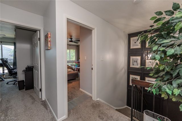 1135 Canyon View Road 101, Northfield, OH 44067