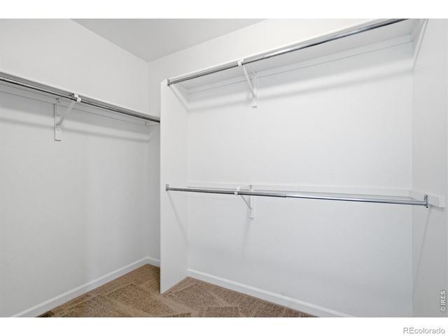 3202 Ellis Court, Evans, CO 80620