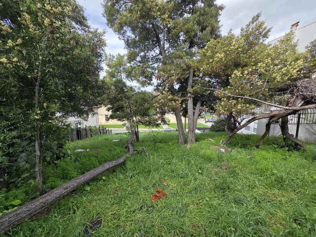 2120 35th Avenue, Oakland, CA 94601