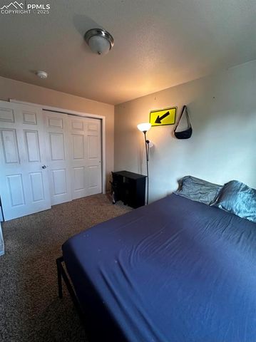 3051 Shikra View, Colorado Springs, CO 80916