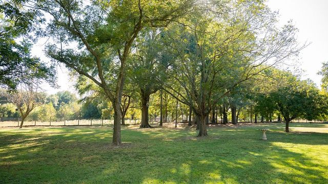 213 County Road 2320, Telephone, TX 75488