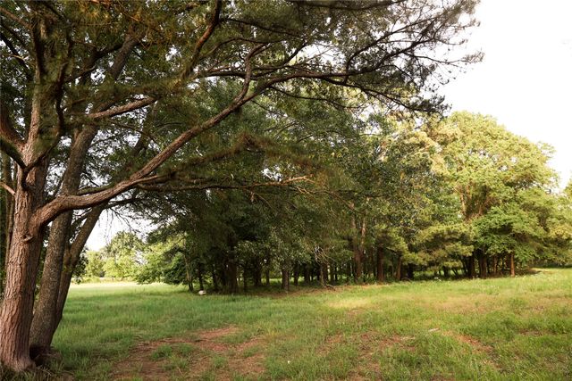 213 County Road 2320, Telephone, TX 75488