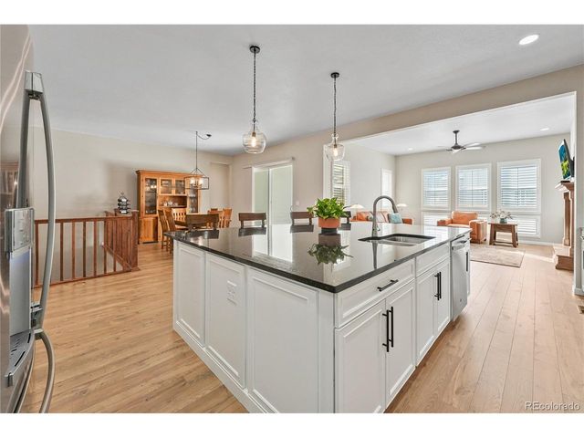 17106 Birds Foot Ave, Parker, CO 80134