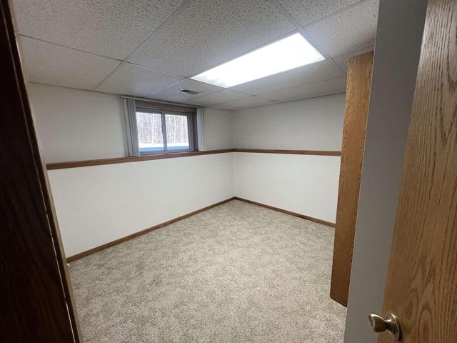 1317 MINK ROAD, Mosinee, WI 54455