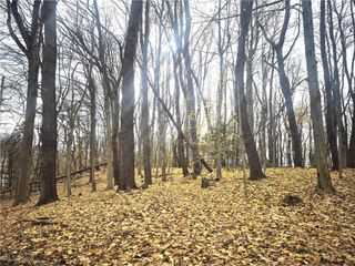 Parcel 2 Auburn Road, Chardon, OH 44024