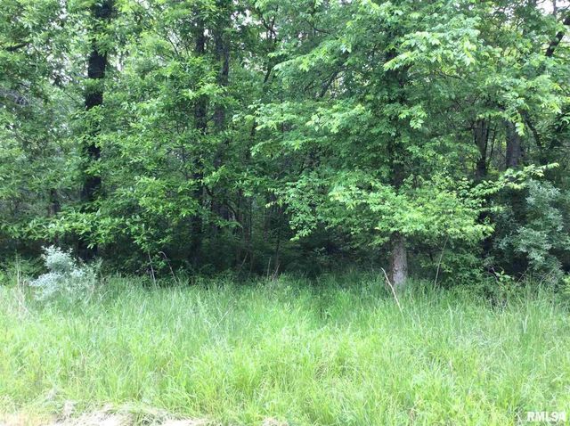 11530 N 28TH Street, Mt Vernon, IL 62864