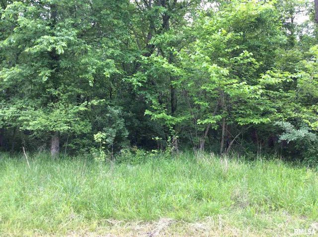 11530 N 28TH Street, Mt Vernon, IL 62864