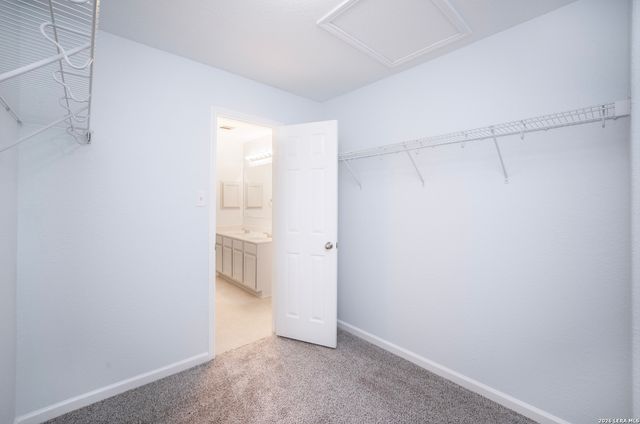 16642 EMERALD BLF, Selma, TX 78154