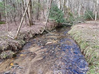 Lot 45B Synacia Drive, Mineral Bluff, GA 30559