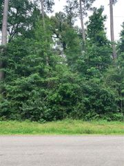 000 Birch Drive, Montgomery, TX 77356