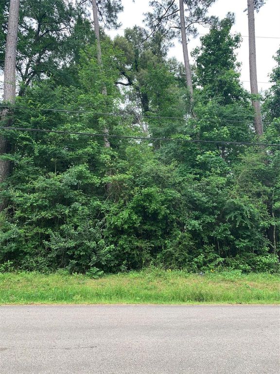 000 Birch Drive, Montgomery, TX 77356