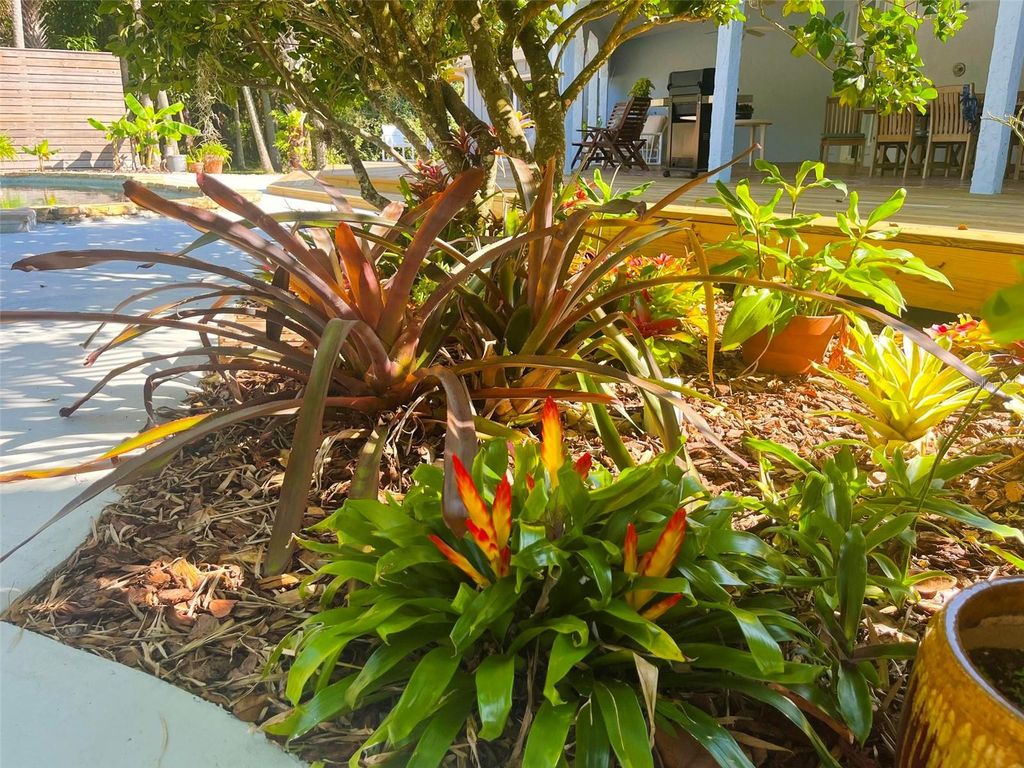 Image 46 of property listing at 725 INGHAM ROAD, New Smyrna Beach, FL 32168