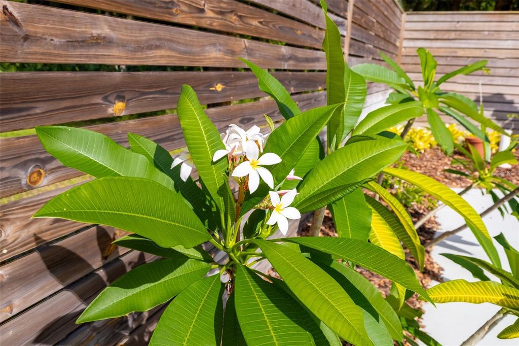 Image 47 of property listing at 725 INGHAM ROAD, New Smyrna Beach, FL 32168