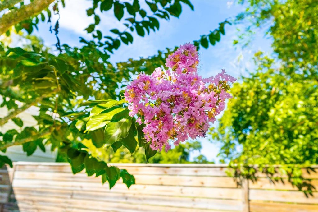 Image 48 of property listing at 725 INGHAM ROAD, New Smyrna Beach, FL 32168