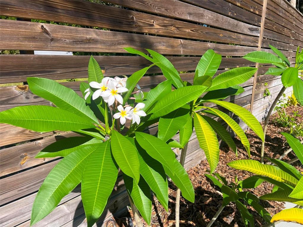 Image 49 of property listing at 725 INGHAM ROAD, New Smyrna Beach, FL 32168