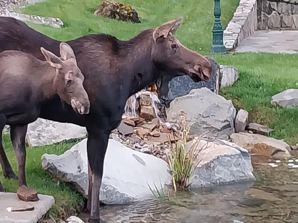 17274 / 17276 Bull Lake Road, Troy, MT 59935 photo 34