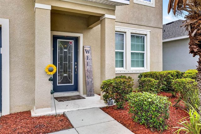 11531 TANGLE BRANCH LANE, Gibsonton, FL 33534