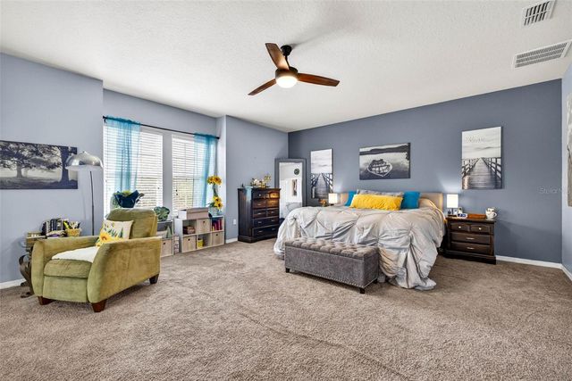 11531 TANGLE BRANCH LANE, Gibsonton, FL 33534