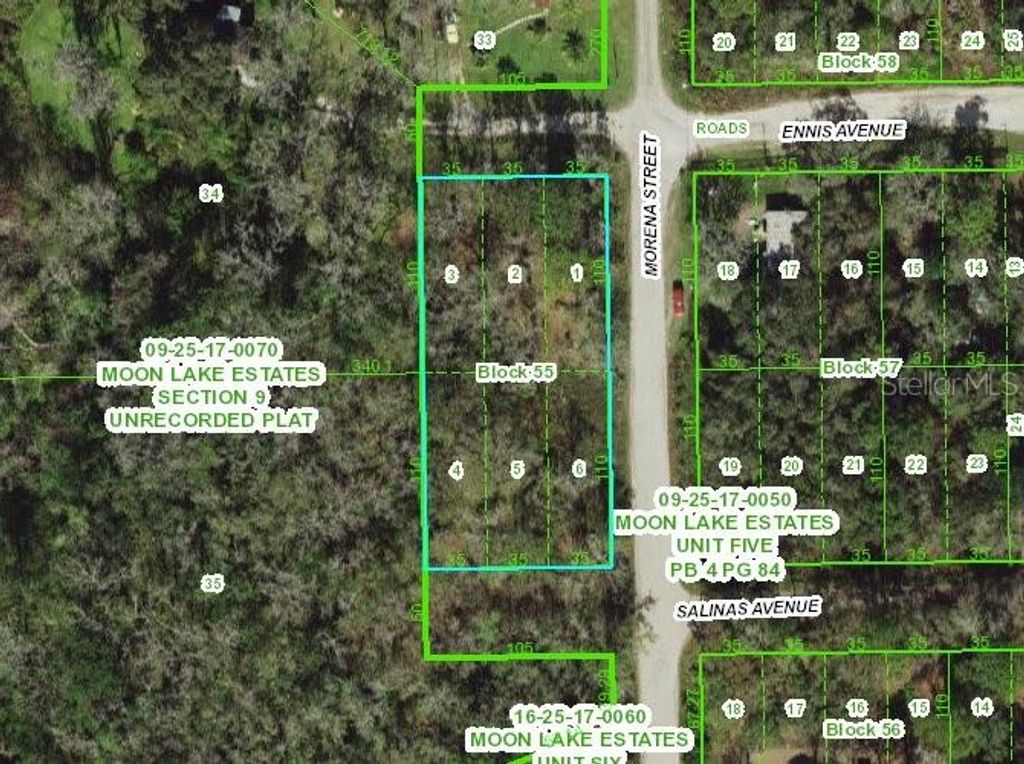 11021 MORENA STREET, New Port Richey, FL 34654
