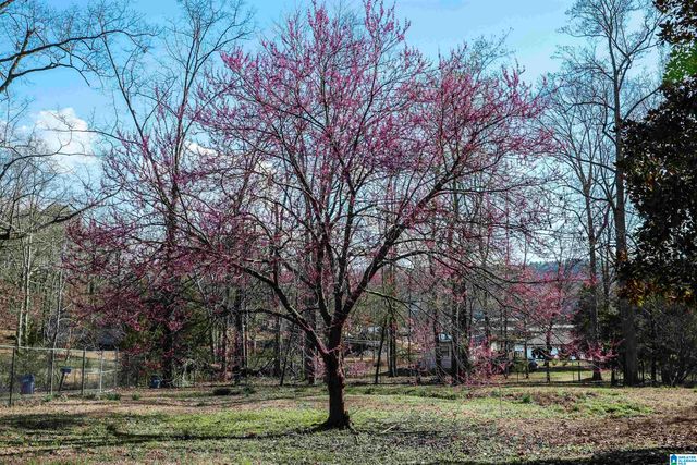 106 HARPER DRIVE, Ohatchee, AL 36271