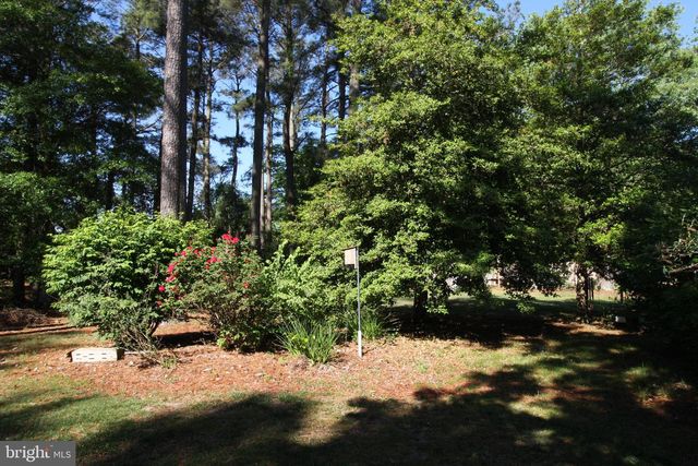1036 S SCHUMAKER DR, Salisbury, MD 21804