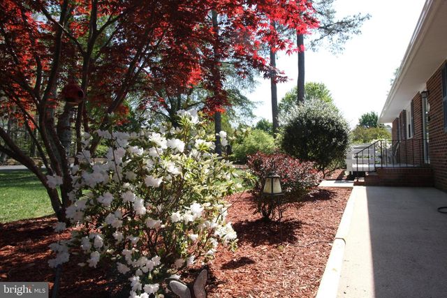 1036 S SCHUMAKER DR, Salisbury, MD 21804