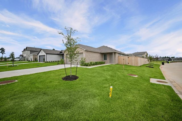 702 Umbrella Tree Drive, Magnolia, TX 77354
