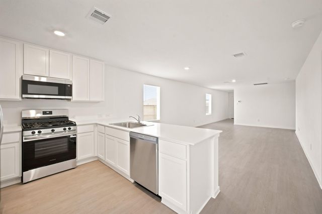 702 Umbrella Tree Drive, Magnolia, TX 77354