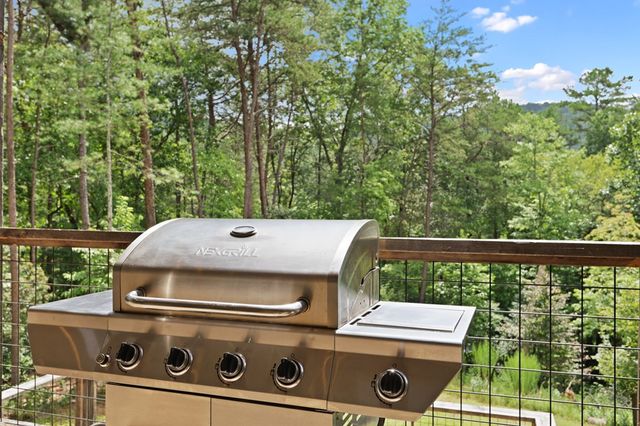 59 Overlook Drive, Blue Ridge, GA 30513