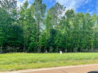 Lot 9 Hwy 24, Centreville, MS 39631