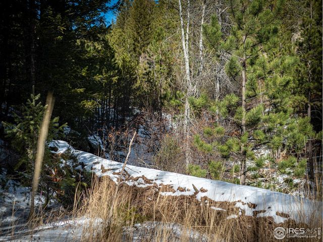 2127 US HIGHWAY 34, Drake, CO 80515