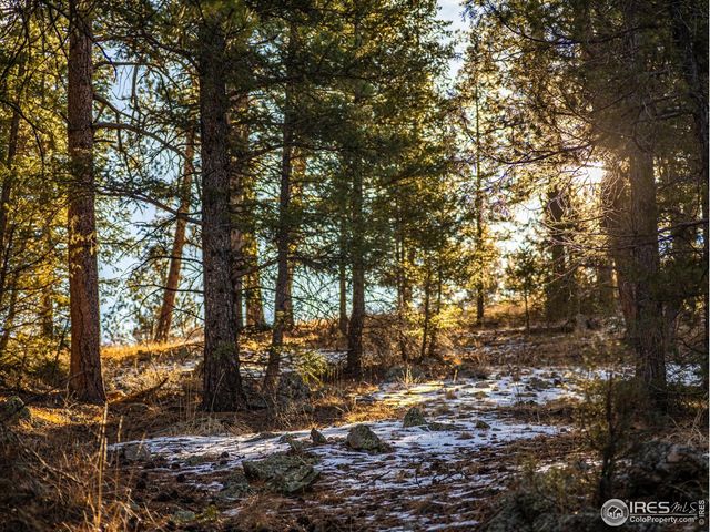 2127 US HIGHWAY 34, Drake, CO 80515