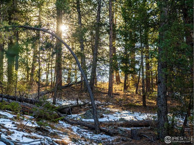 2127 US HIGHWAY 34, Drake, CO 80515