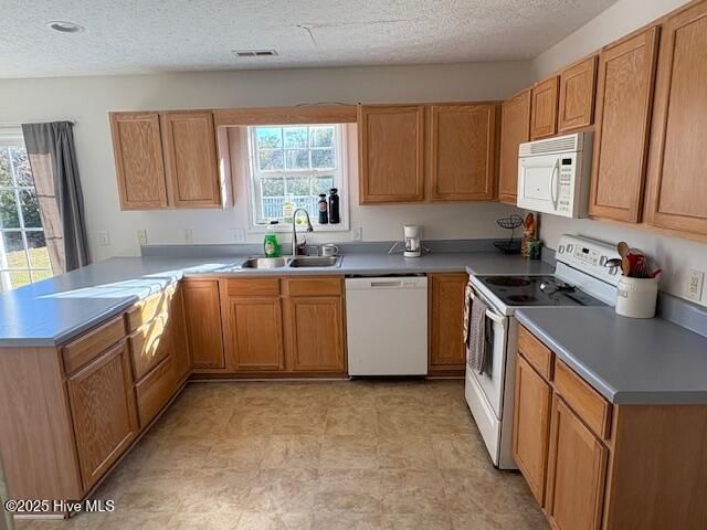 434 Meeting Street, Beaufort, NC 28516