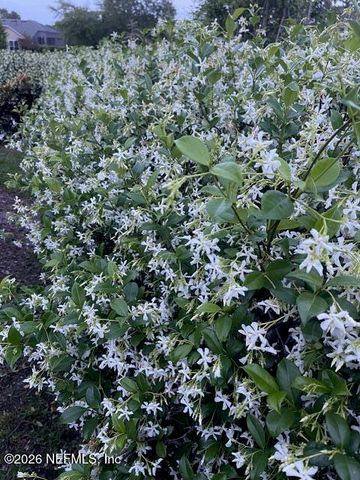 284 ST JOHNS FOREST Boulevard, St. Johns, FL 32259