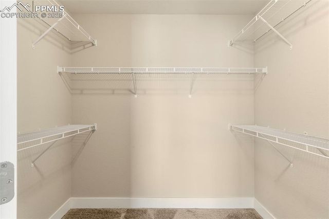 1367 Plentiful Drive, Colorado Springs, CO 80921