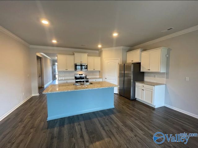 505 E River Landing Blvd, Madison, AL 35756