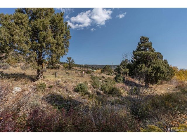 17380 Willow Tree Dr, Salida, CO 81201