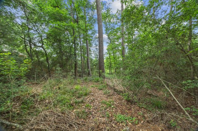 706 Overbrook Drive, Huntsville, TX 77340