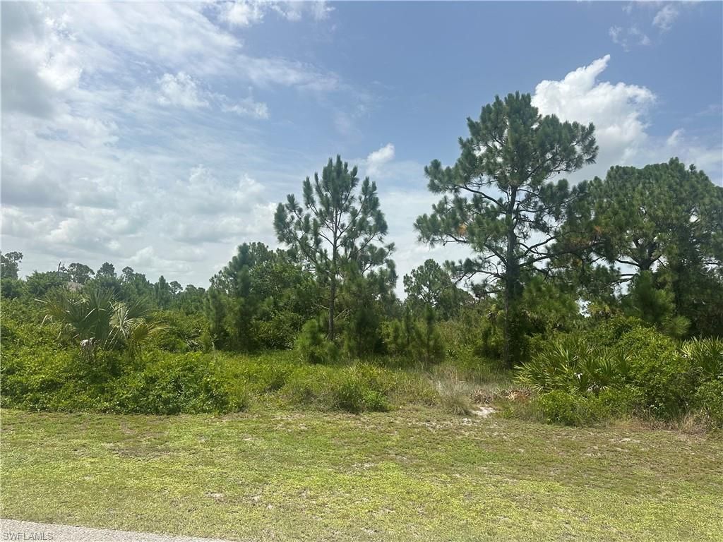 1141 Garibaldi ST E, LEHIGH ACRES, FL 33974 — photo 2