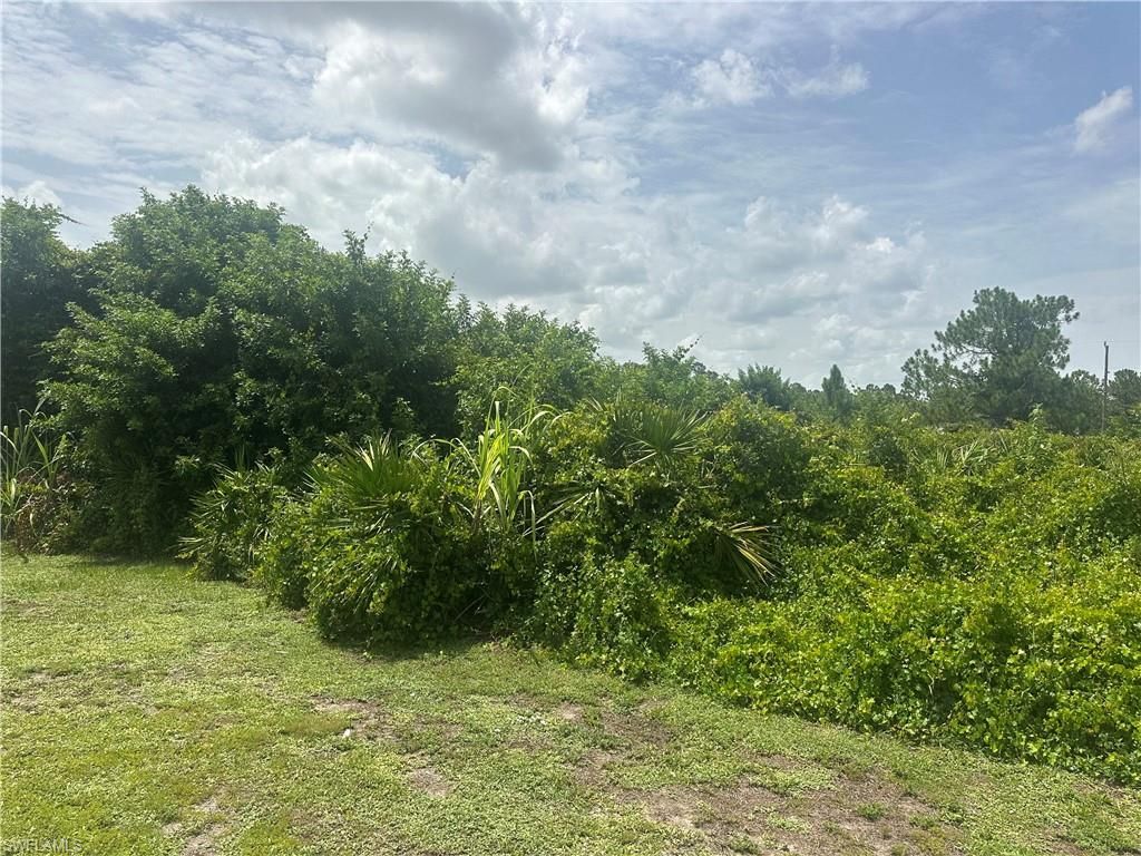1141 Garibaldi ST E, LEHIGH ACRES, FL 33974 — photo 3