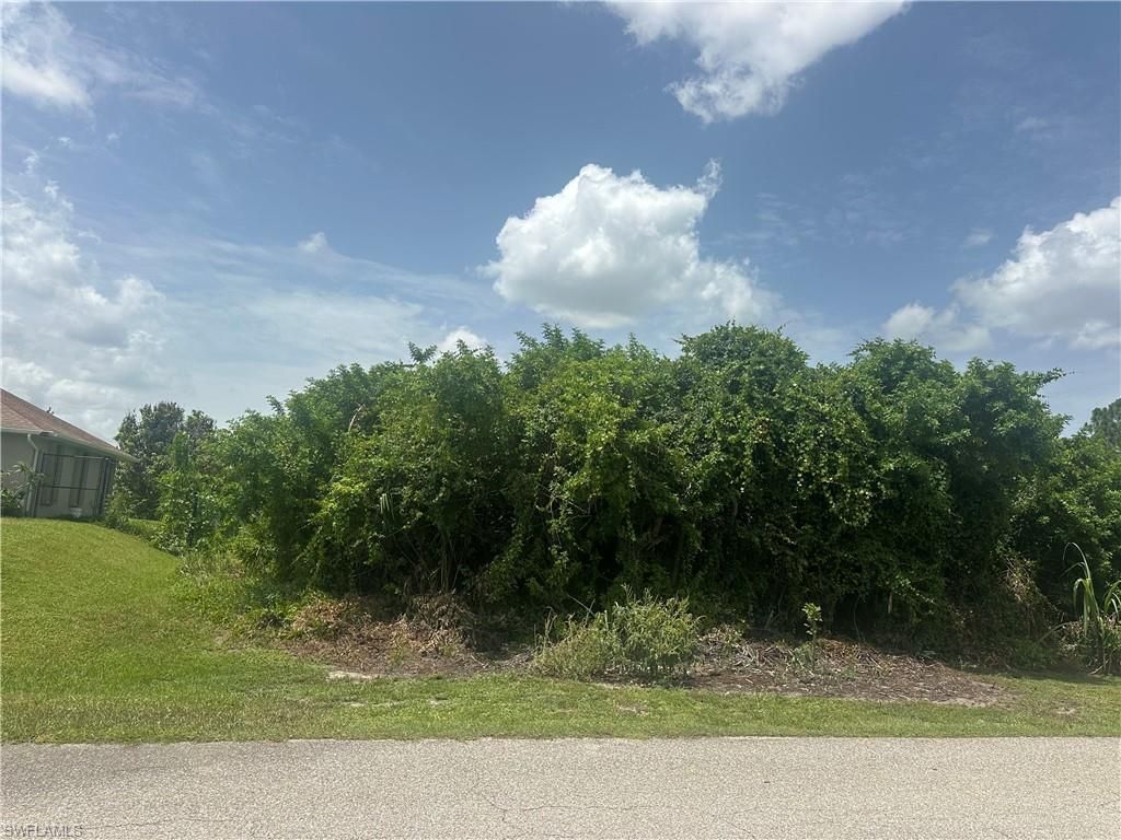 1141 Garibaldi ST E, LEHIGH ACRES, FL 33974 — photo 4