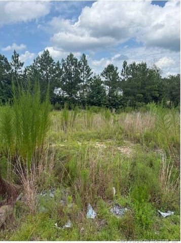 457 Pittfield Run, Cameron, NC 28326