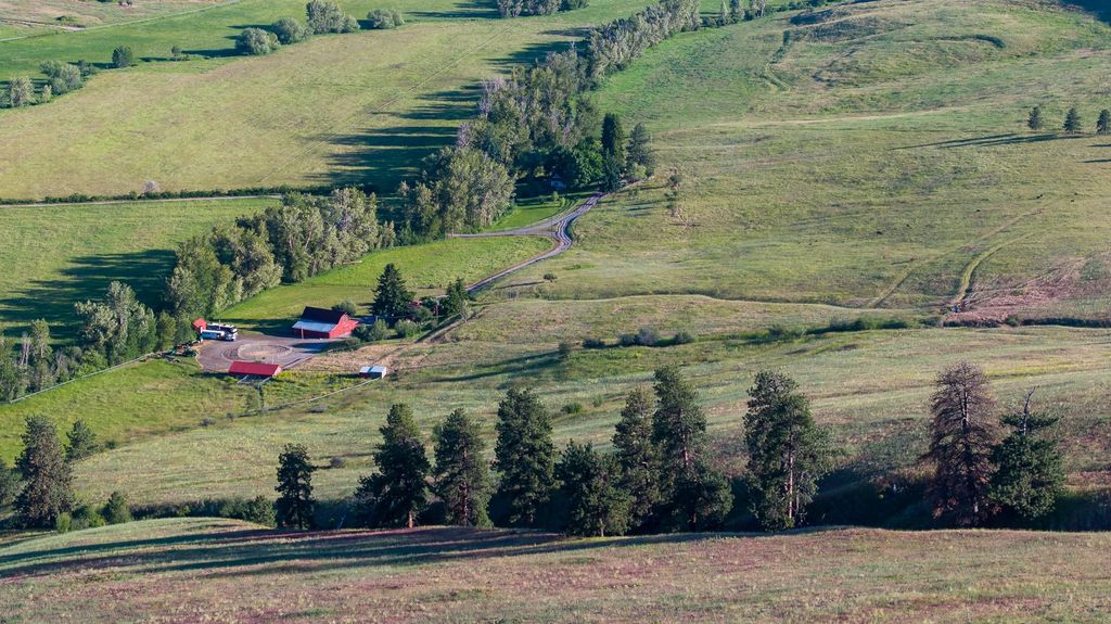 8925 LaValle Creek Road, Missoula, MT 59808 photo 105