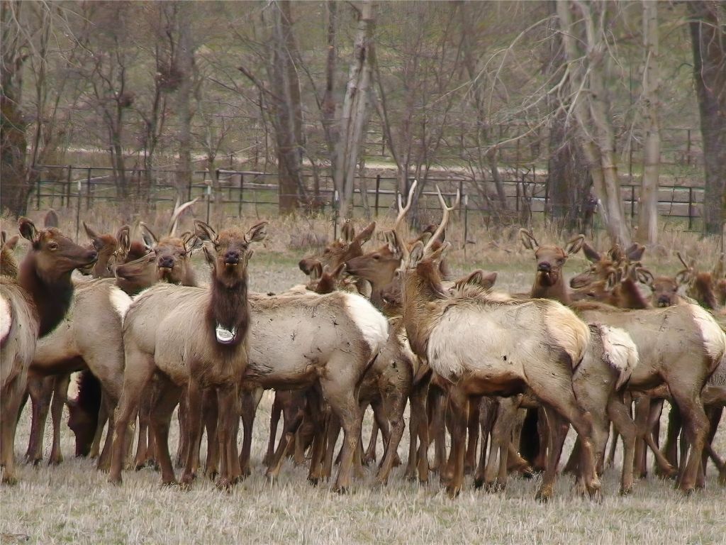 8925 LaValle Creek Road, Missoula, MT 59808 photo 120