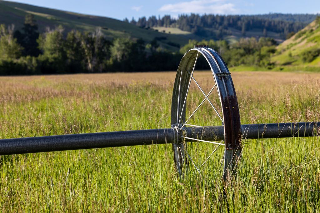 8925 LaValle Creek Road, Missoula, MT 59808 photo 14
